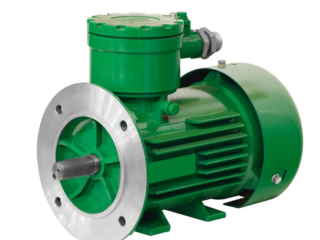 Image for Category Explosion Proof Motors