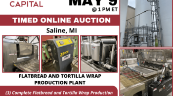 Image representing Flatbread and Tortilla Wrap Production Plant
